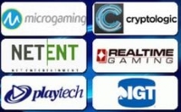 Slots casino games are offered by many software providers